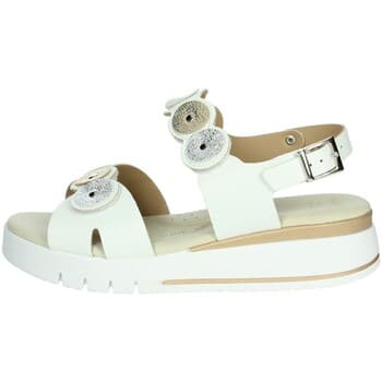 Korokepohjaiset sandaalit Cinzia Soft  LF023080  37 – Cinzia Soft