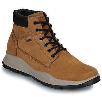 Kengät IgI&CO  U.ELOY GTX  44 – IgI&CO
