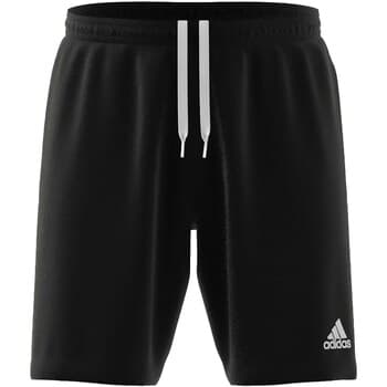 Shortsit & Bermuda-shortsit adidas  Ent22 Tr Sho  EU XXL