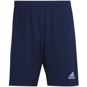 Shortsit & Bermuda-shortsit adidas  Ent22 Tr Sho  EU XS – Adidas