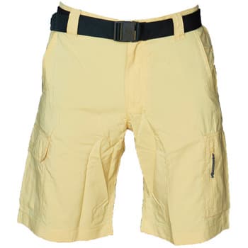 Shortsit & Bermuda-shortsit Columbia  Silver Ridge Utility Cargo Shorts  FR 34