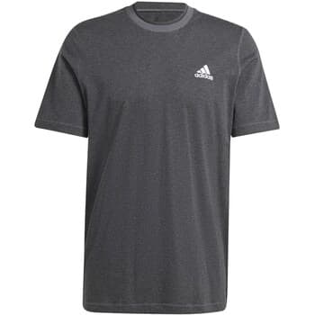 Lyhythihainen t-paita adidas  IW6358  EU XXL