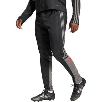 Jogging housut / Ulkoiluvaattee adidas  JD1625  EU L – Adidas