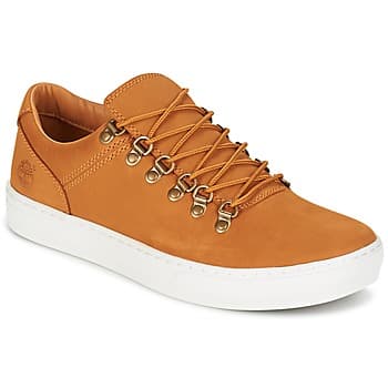 Kengät Timberland  ADV 2.0 CUPSOLE ALPINE OX  41