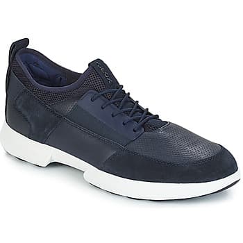 Kengät Geox  TRACCIA  42