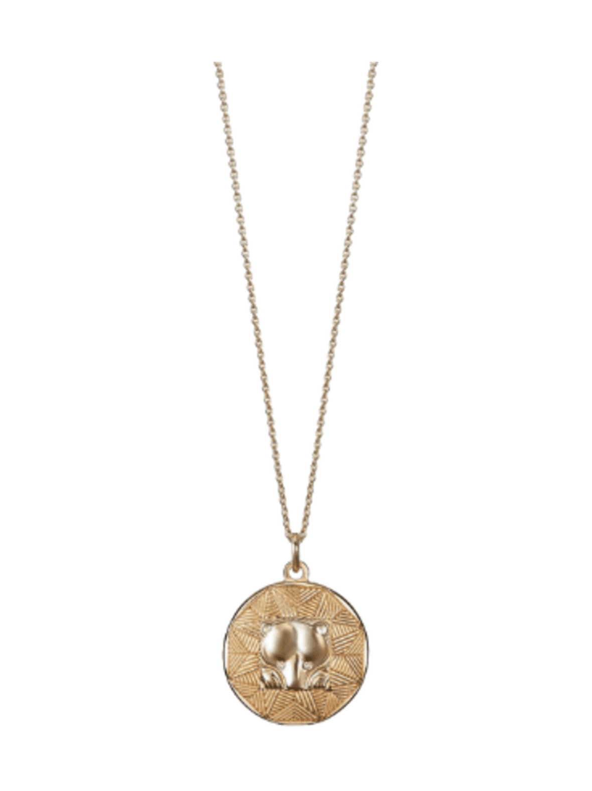 Amuletti riipus pohjankarhu pronssi 327031460 – Kalevala