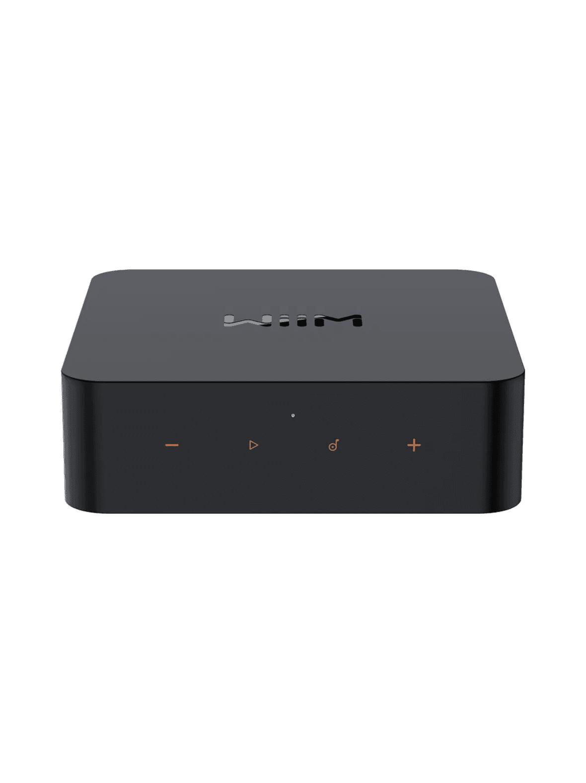 Wiim pro plus audio streamer