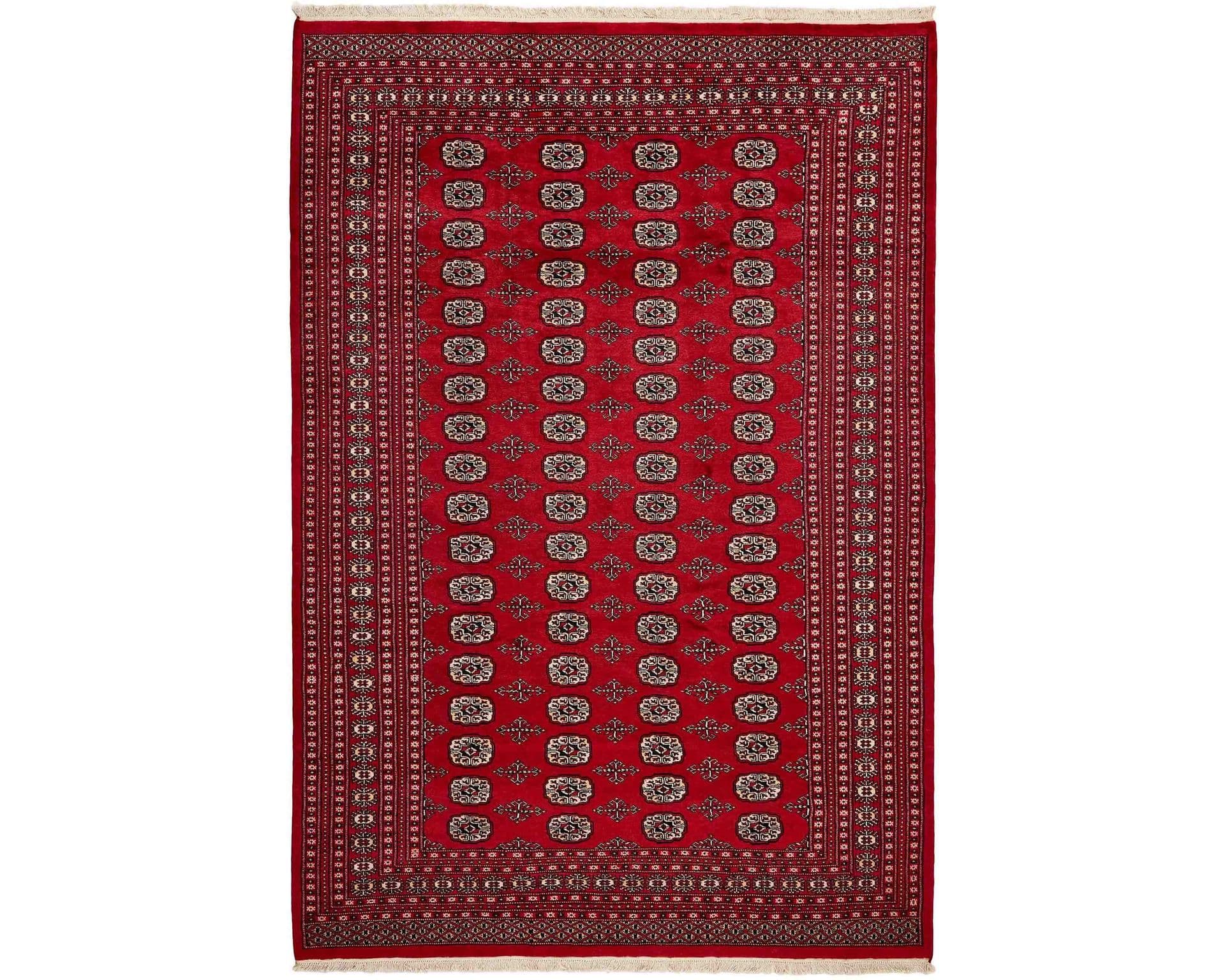 Pakistan handknotted itämainen matto 206 x 301 cm – Rezas