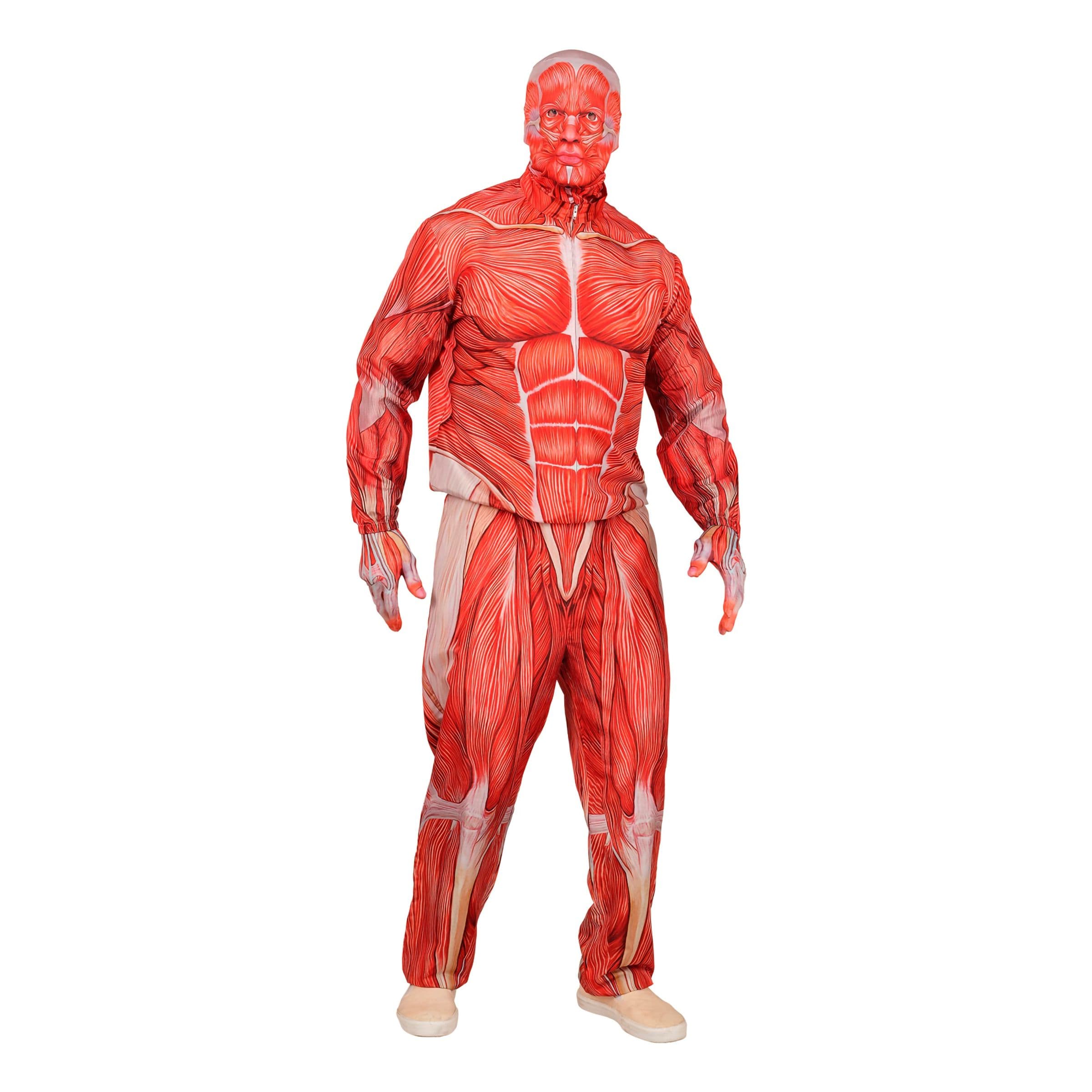 Anatomian Naamiaisasu - Medium – Widmann