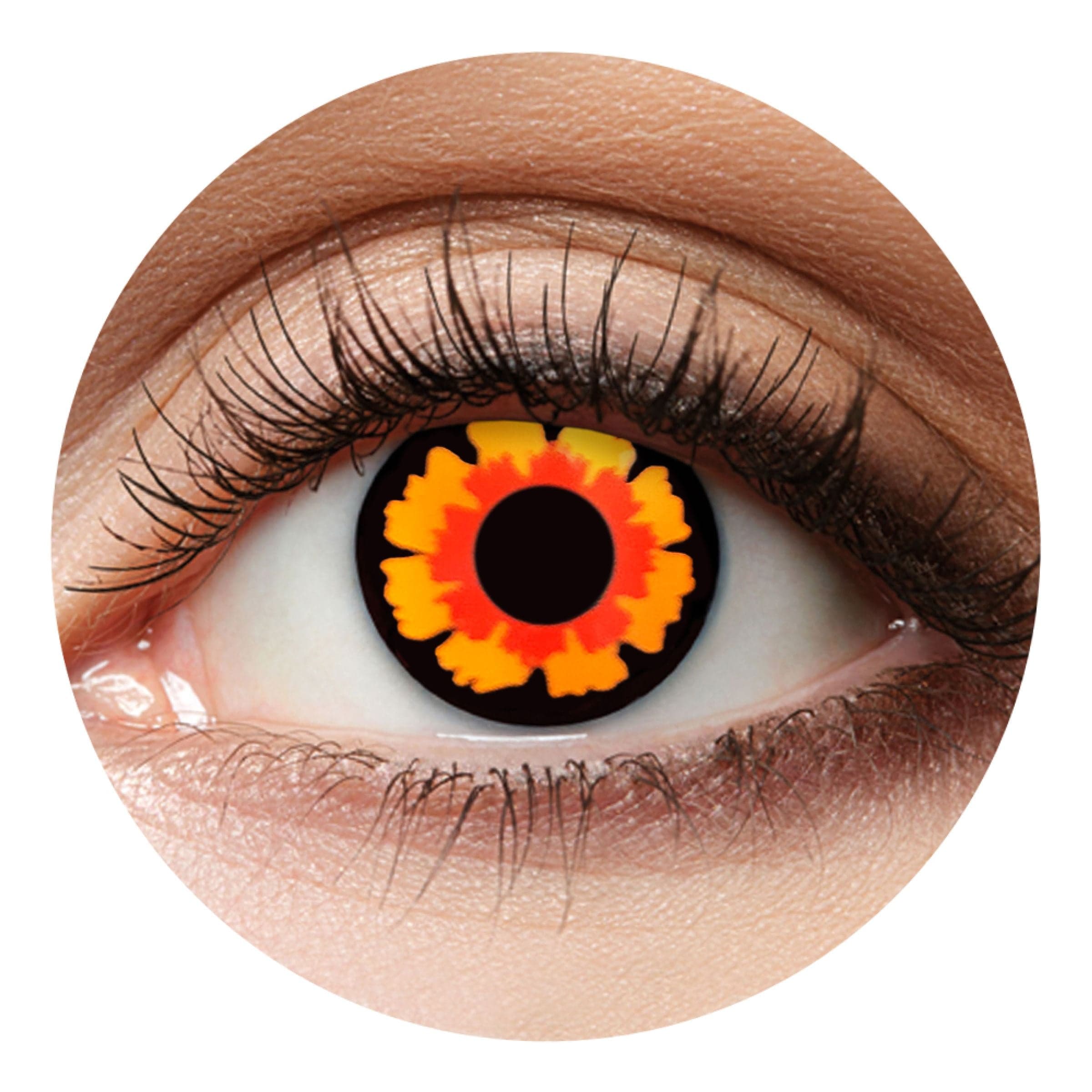 Crazylinssit Volturi