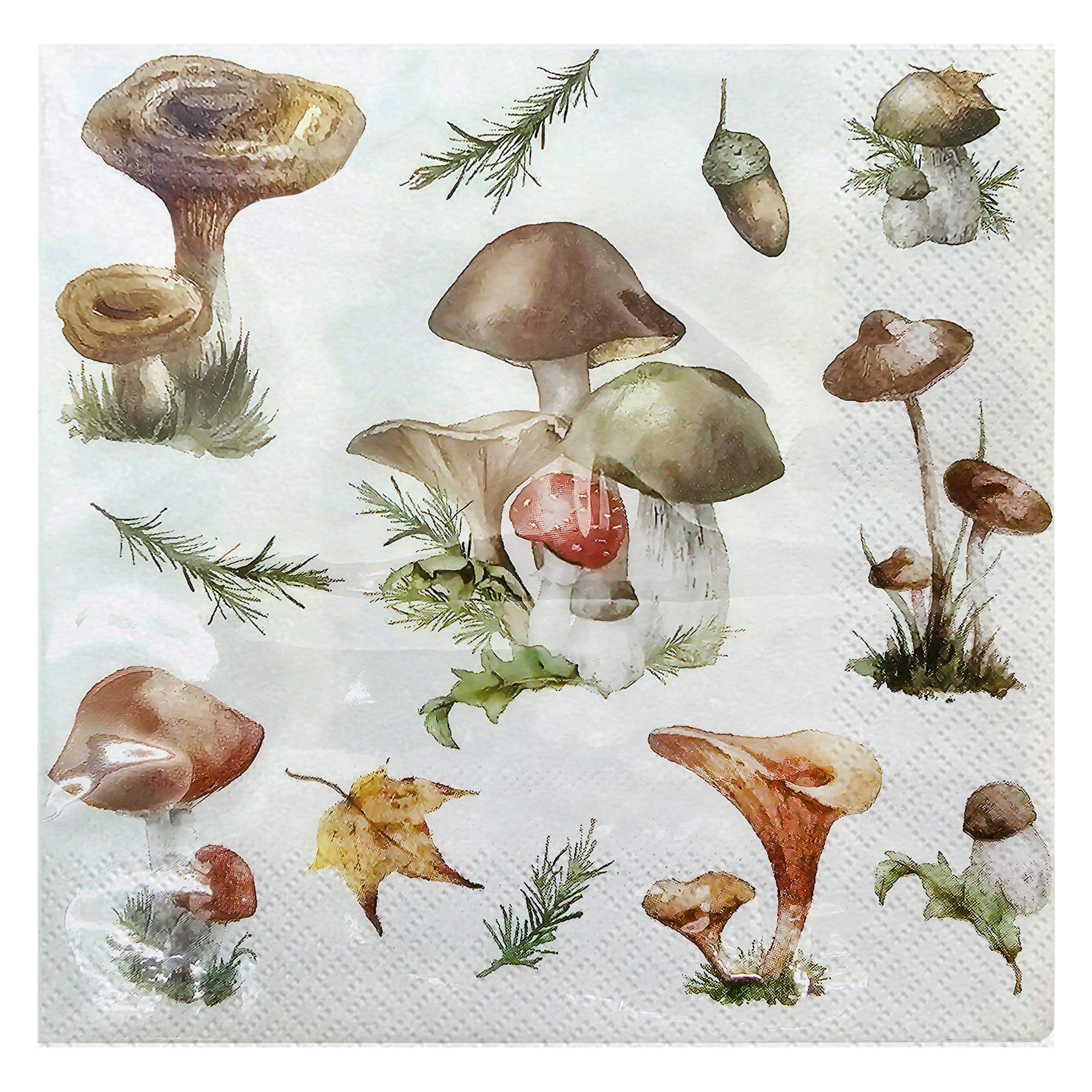 Lautasliinat Sienet - 20-pakkaus – Dynäs Import