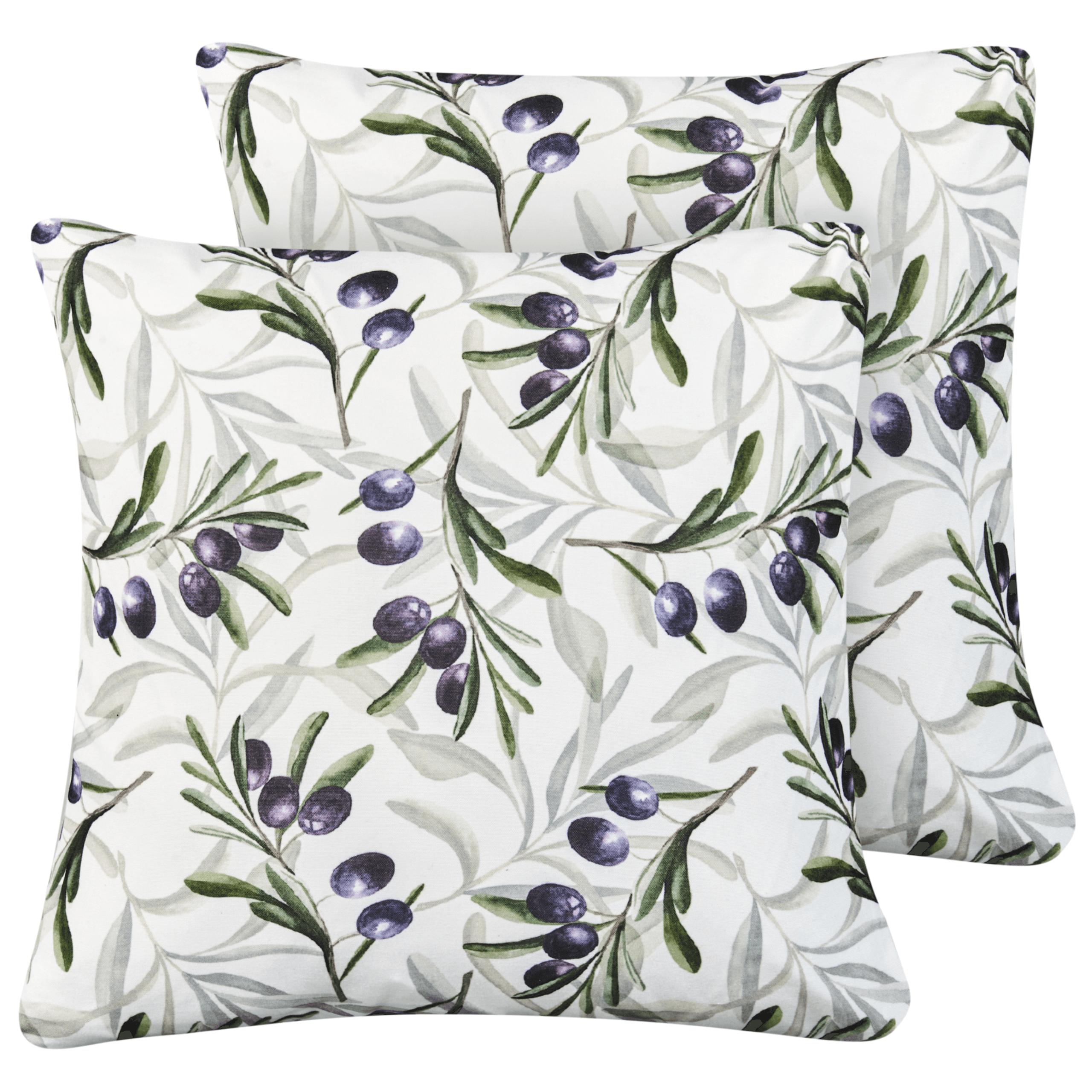 Ulkotyynysetti 2 kpl TRANQUI Kasvikuvio 45 x 45 cm Monivärinen