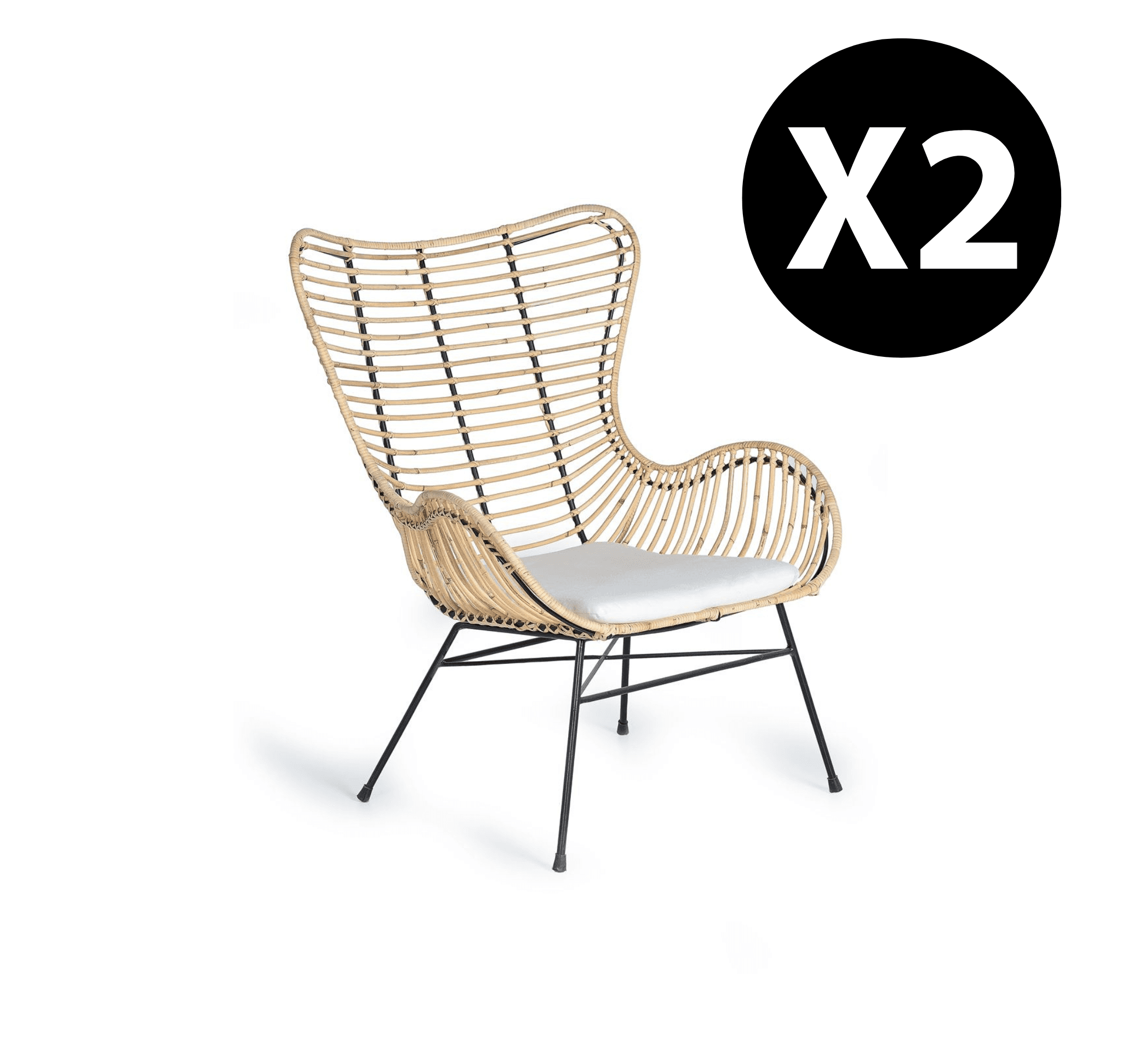 2 rottinkituolia metallijaloilla