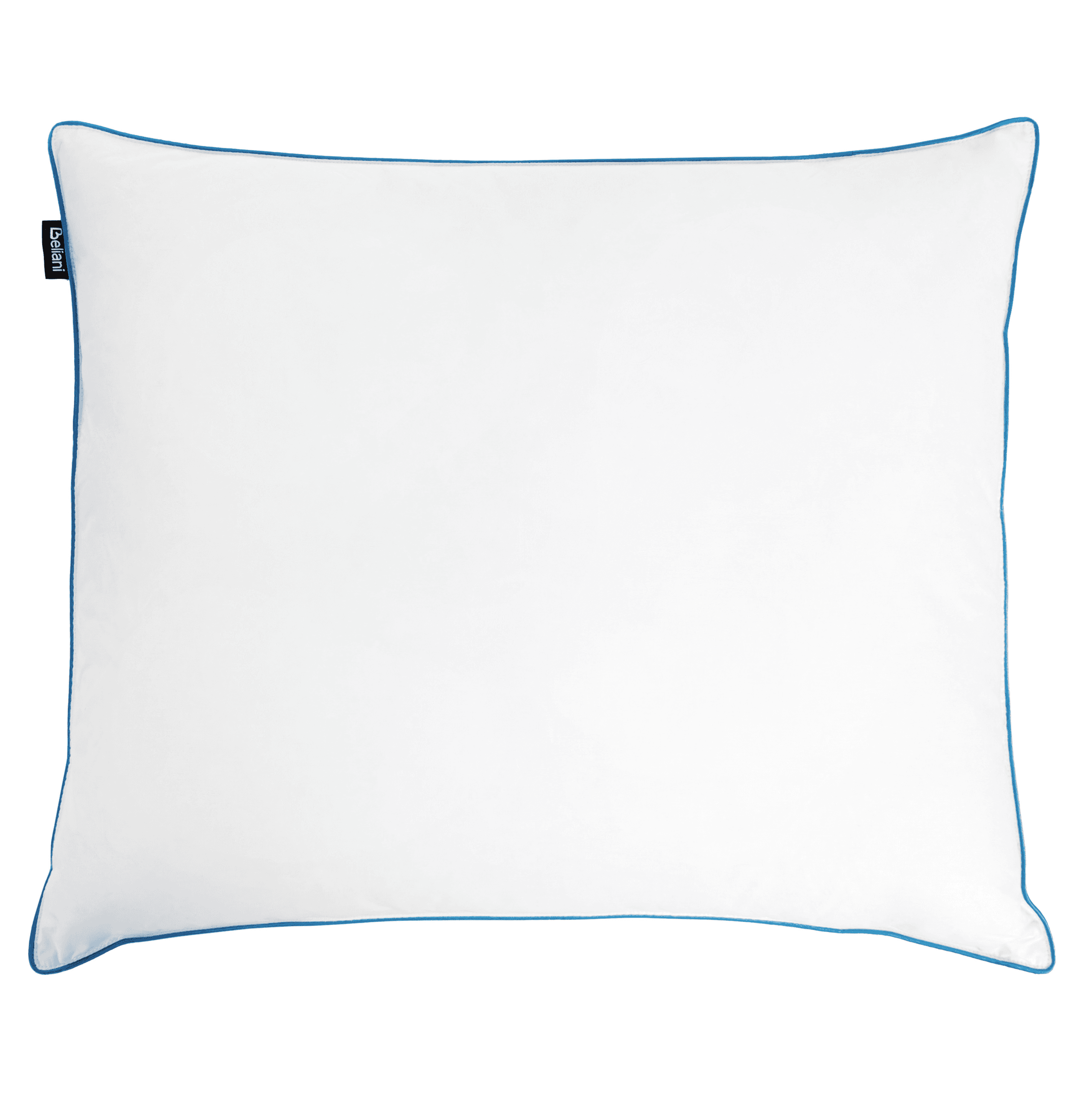 Tyyny ANETO Korkea ankanhöyhenet ja -untuva 50 x 60 cm Valkoinen