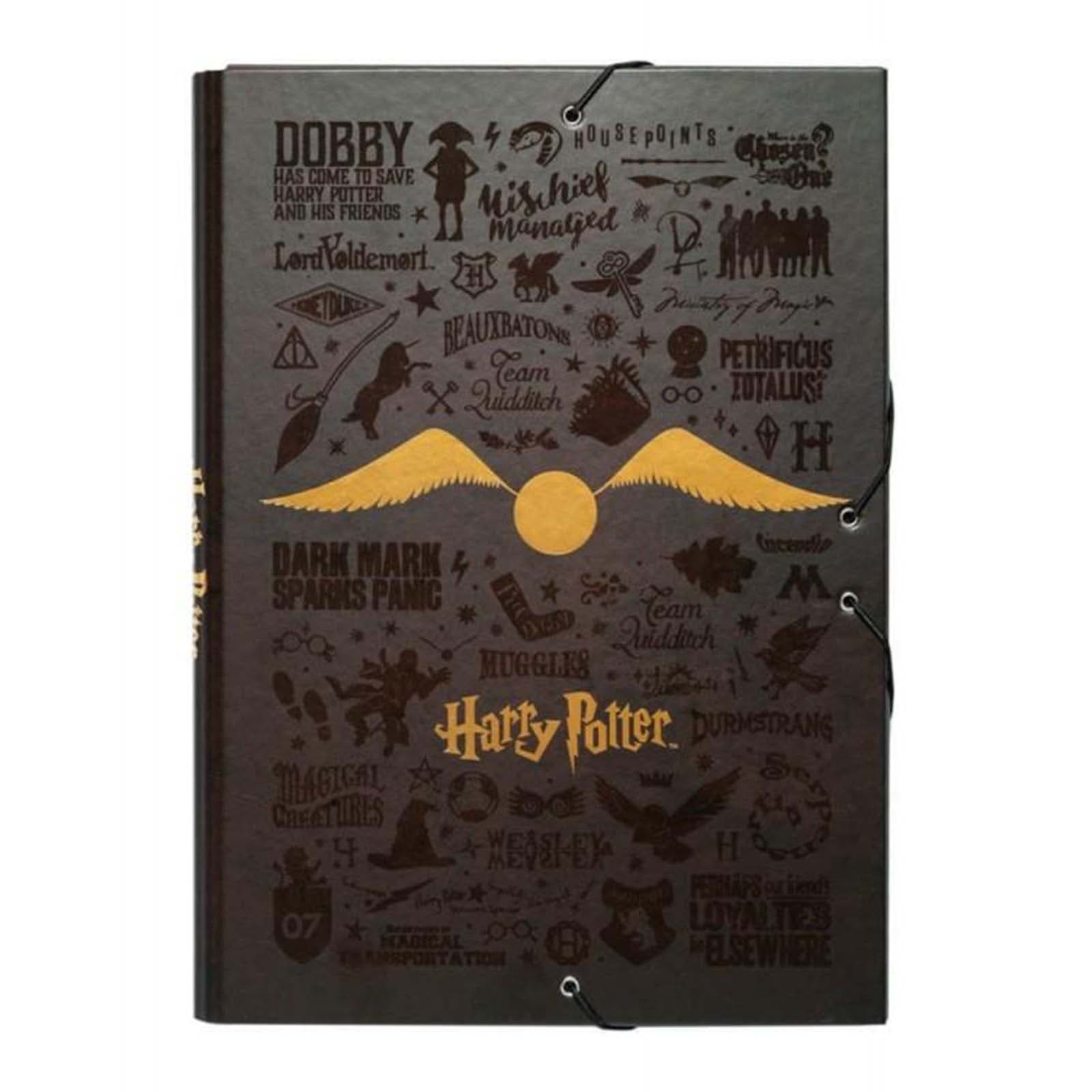 Pahvikansio 24x34cm Golden Snitch