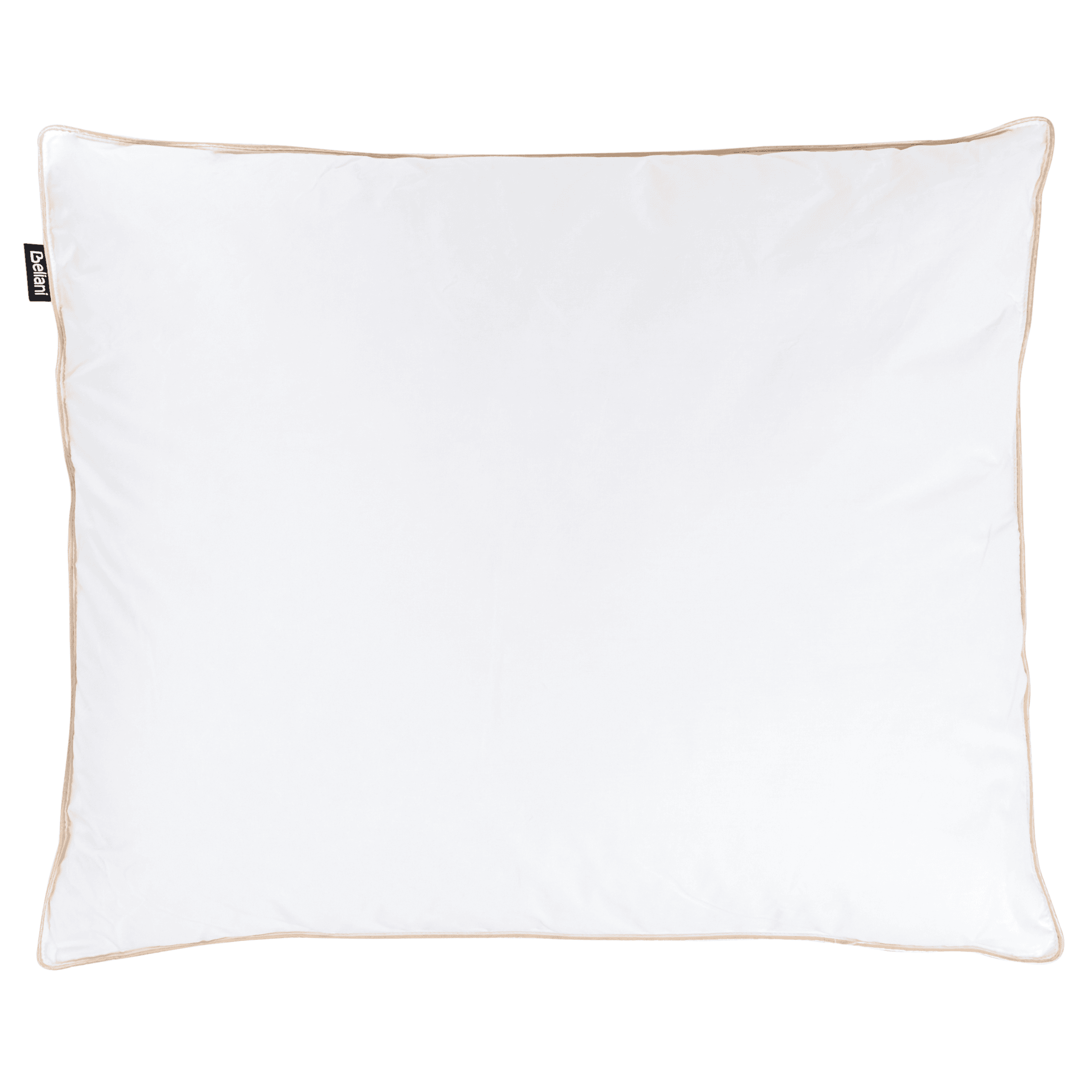 Tyyny 3 kammiota ETNA Korkea ankanhöyhenet ja -untuva 50 x 60 cm Valkoinen