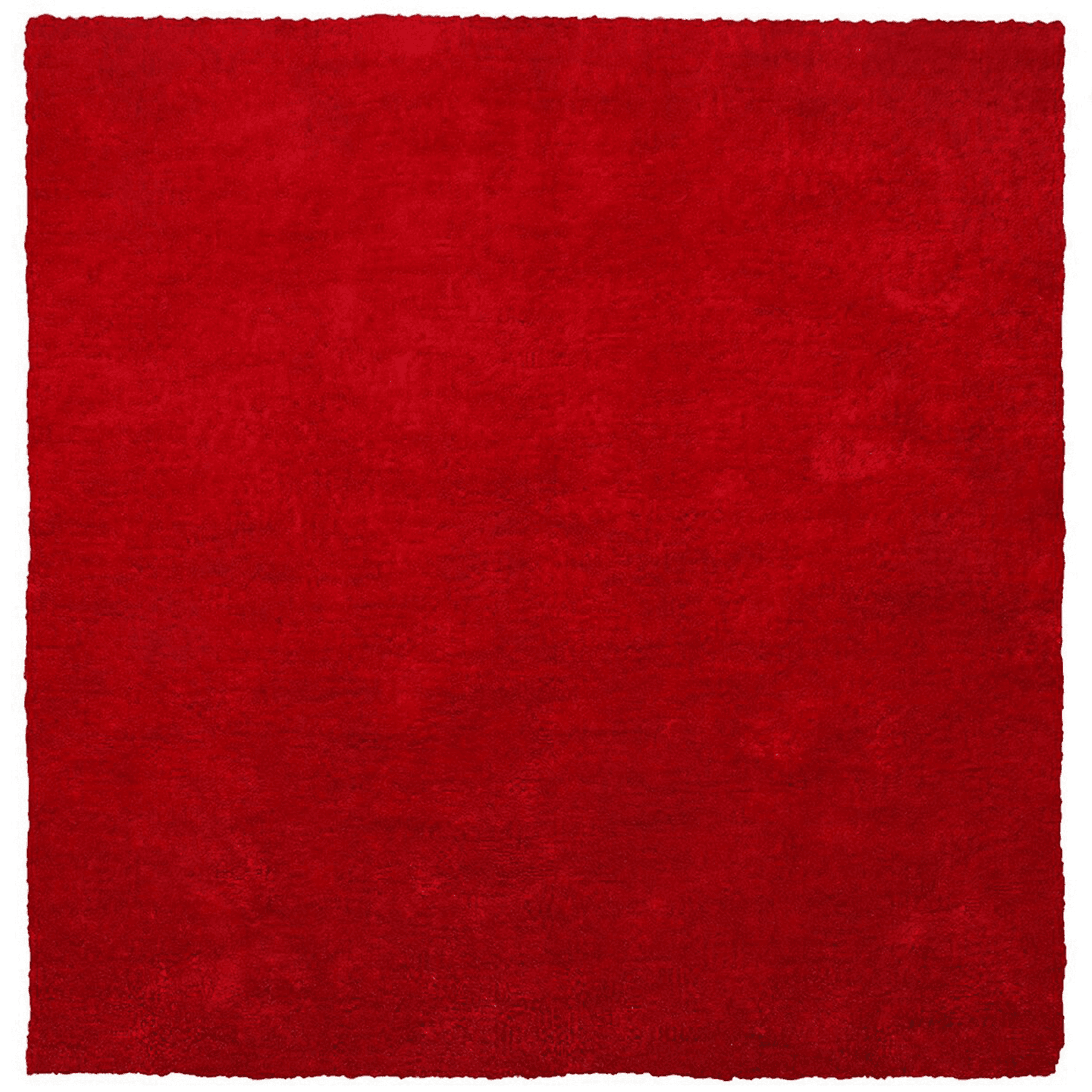 Korkeanukkainen matto DEMRE Punainen 200 x 200 cm