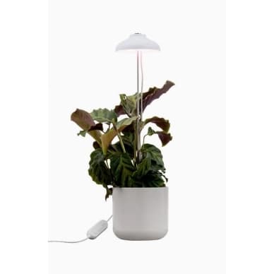 AIRAM Iris Plant -valaistus 5W Himmeä kosketuksella 9610533 Vastaa: N/A – Airam
