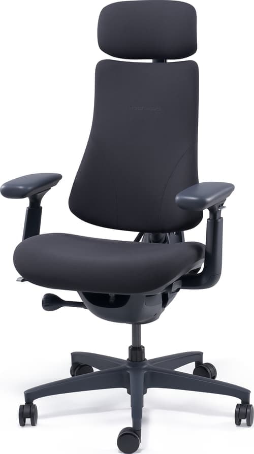 Libernovo Omni Ergonominen Tuoli 48 Cm Yönmusta – LIBERNOVO