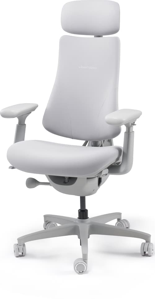 Libernovo Omni Ergonominen Tuoli 48 Cm Space Grey – LIBERNOVO