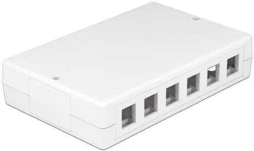 Delock 12 Port Keystone Box – Delock