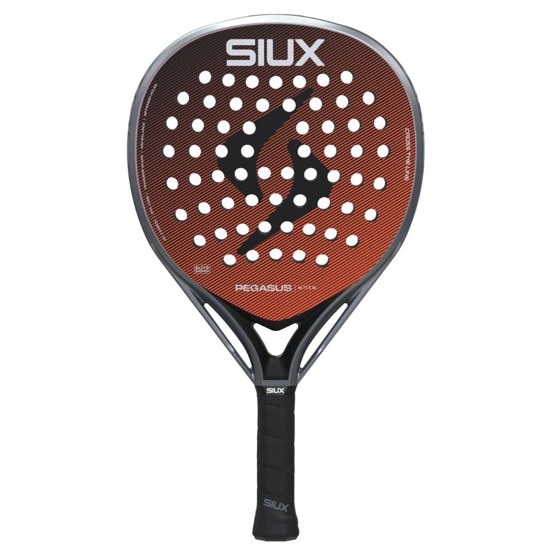 Siux Pegasus Elite 4 2026 – Siux