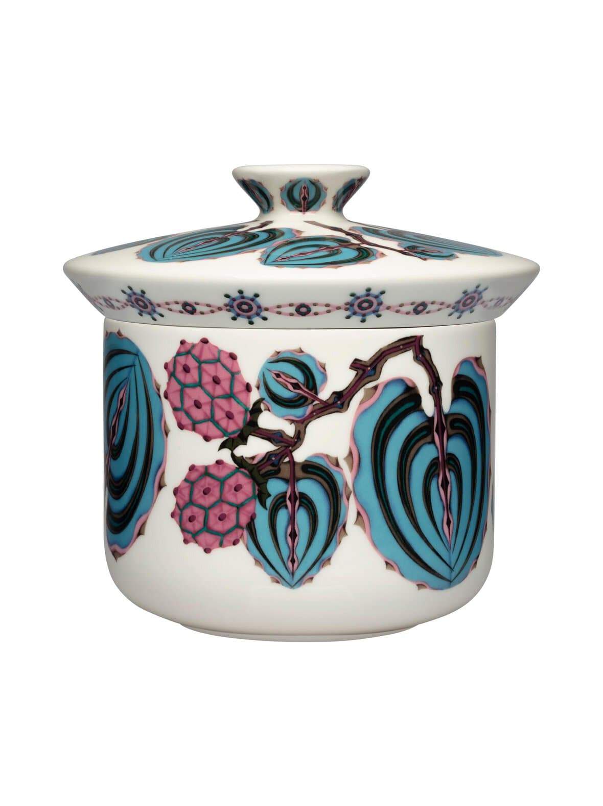 Taika sato -rasia – Iittala