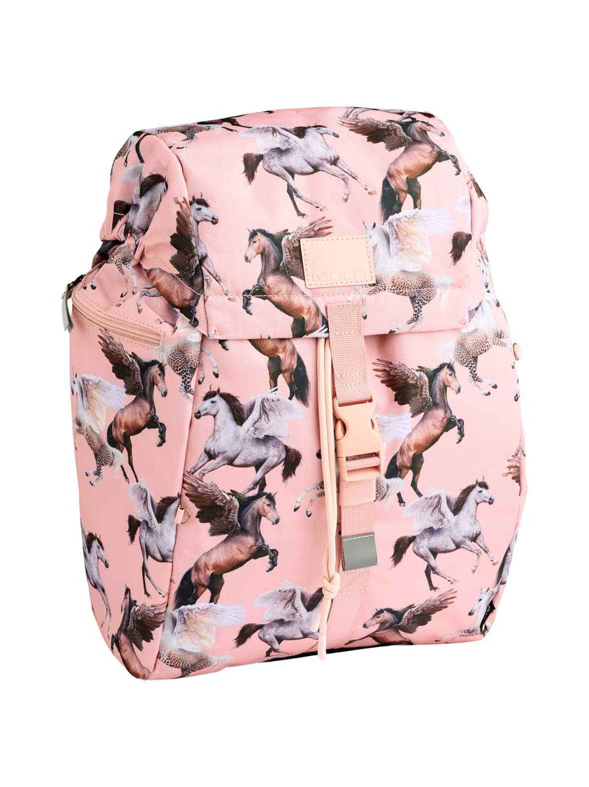 Pegasus-reppu – Molo