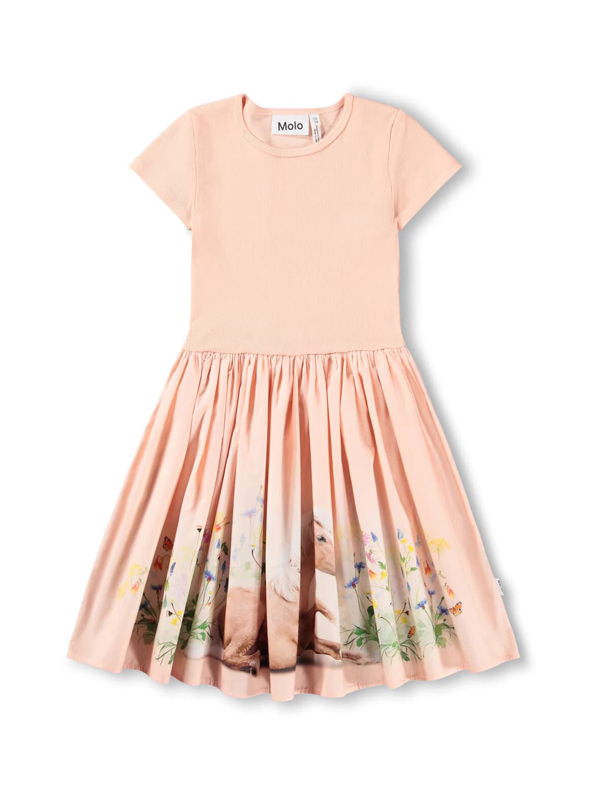 Cissa-mekko – Molo