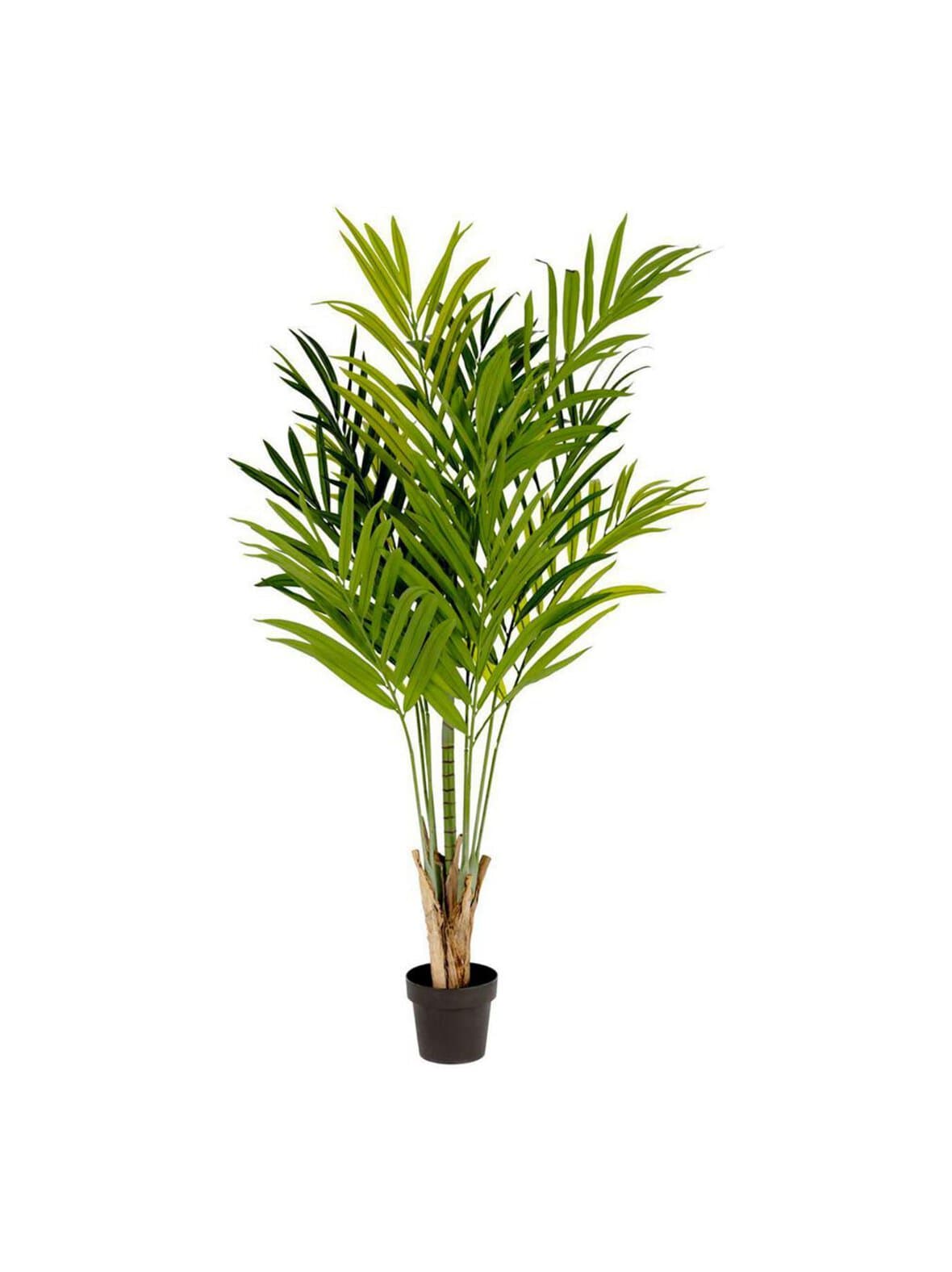 Palmera-tekokasvi k 170 cm – Kave Home