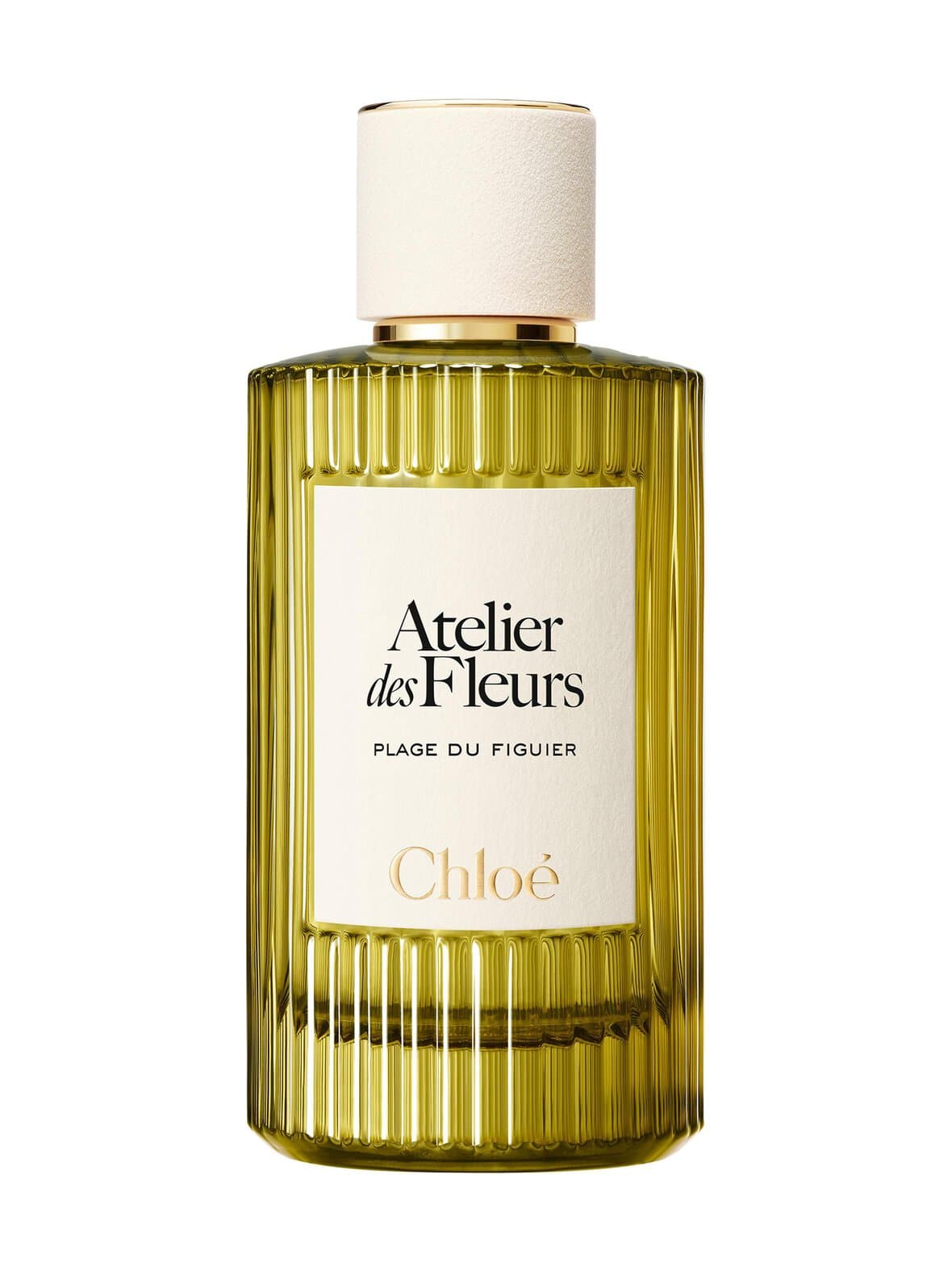 Atelier des fleurs plage du figuier edp -tuoksu – Chloé