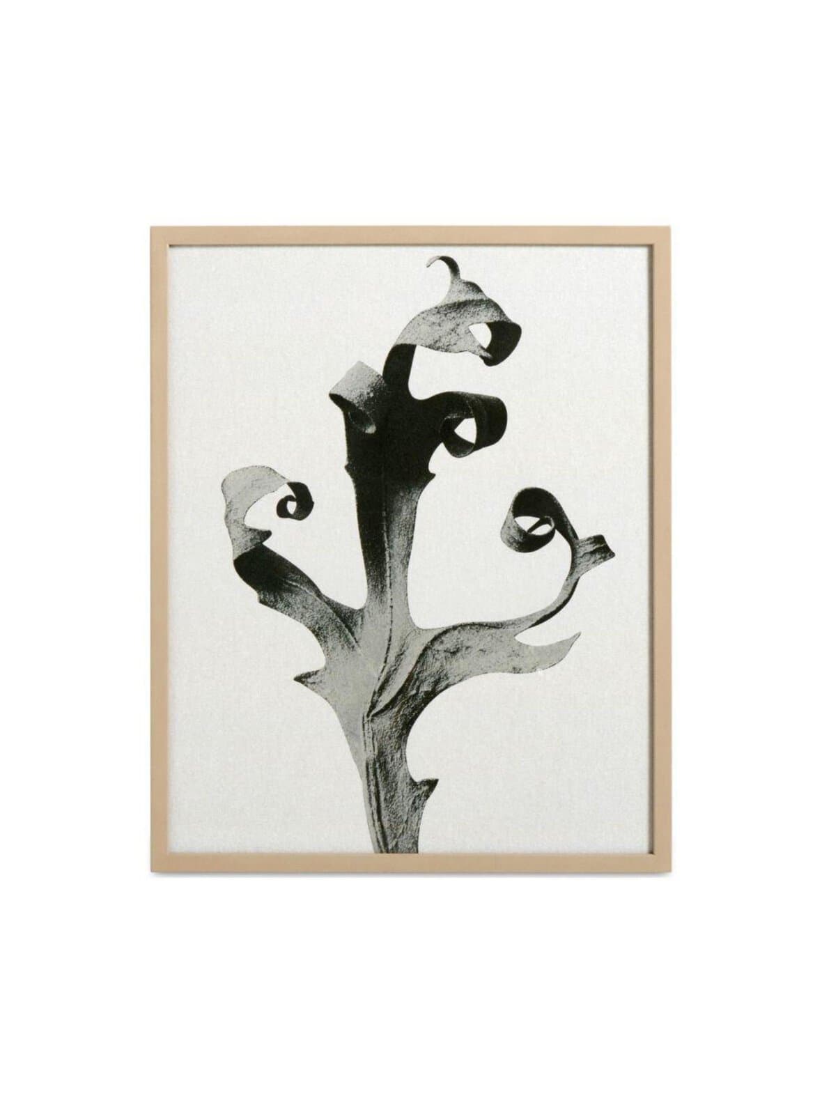 Delphinium-taulu 42 x 52 cm – BoConcept