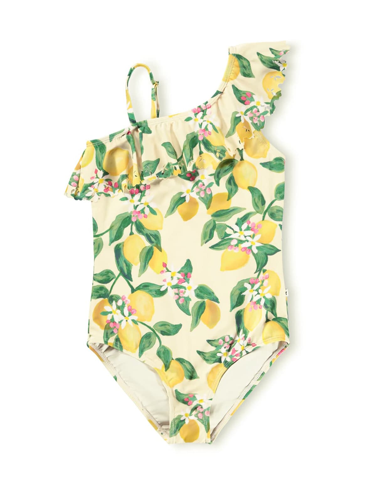 Net-uimapuku – Molo