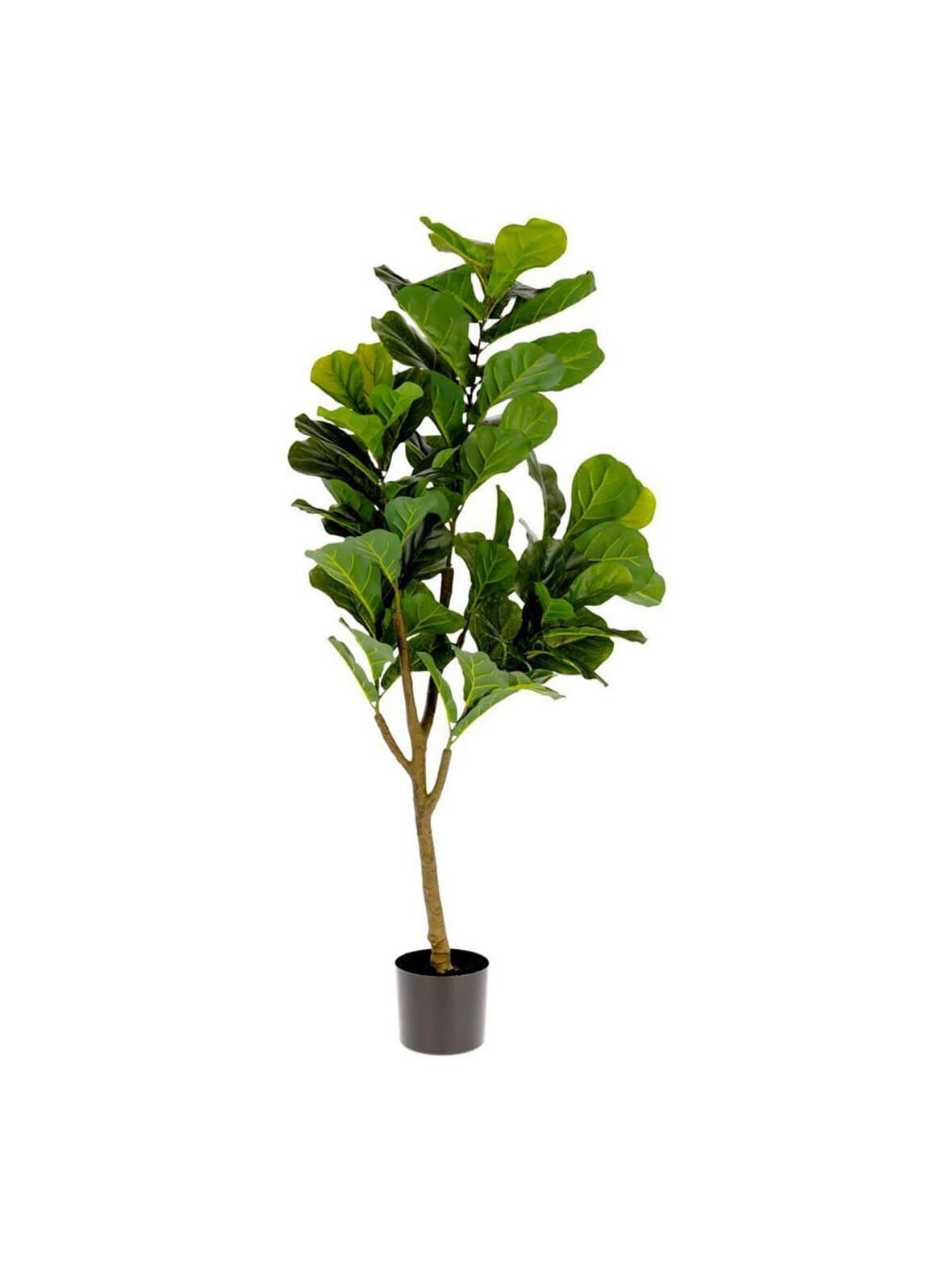 Ficus-tekokasvi k 150 cm – Kave Home
