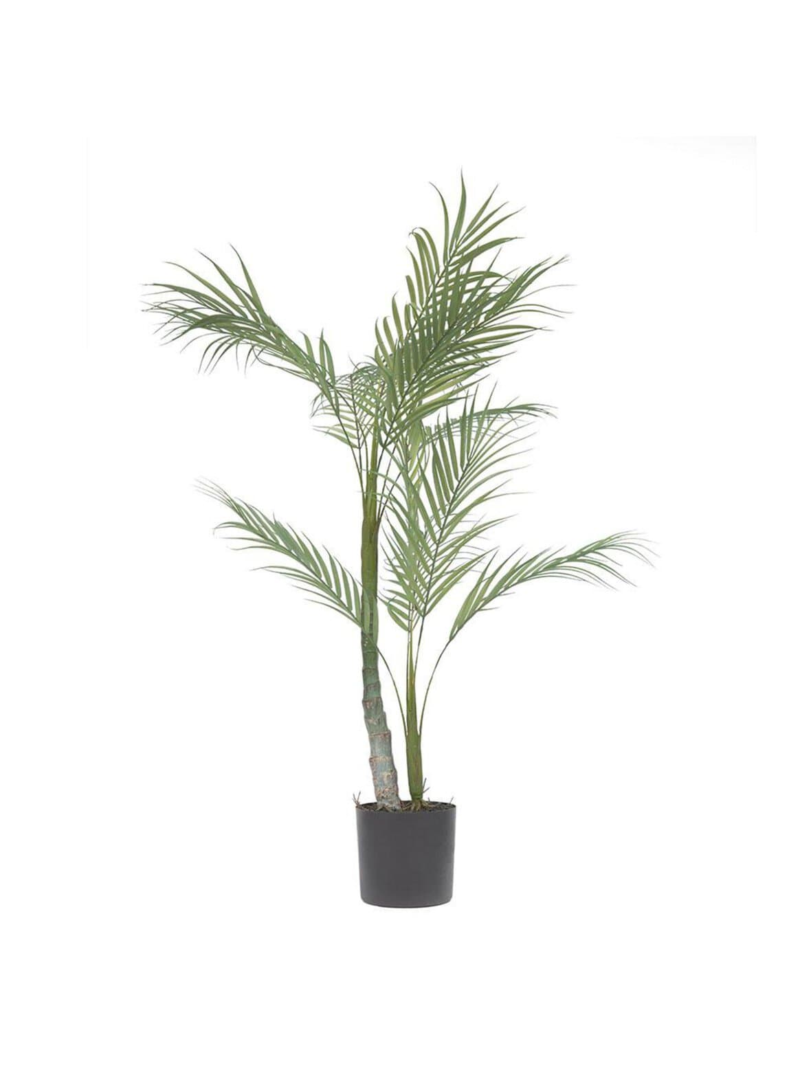 Palmera-tekokasvi k 70 cm – Kave Home