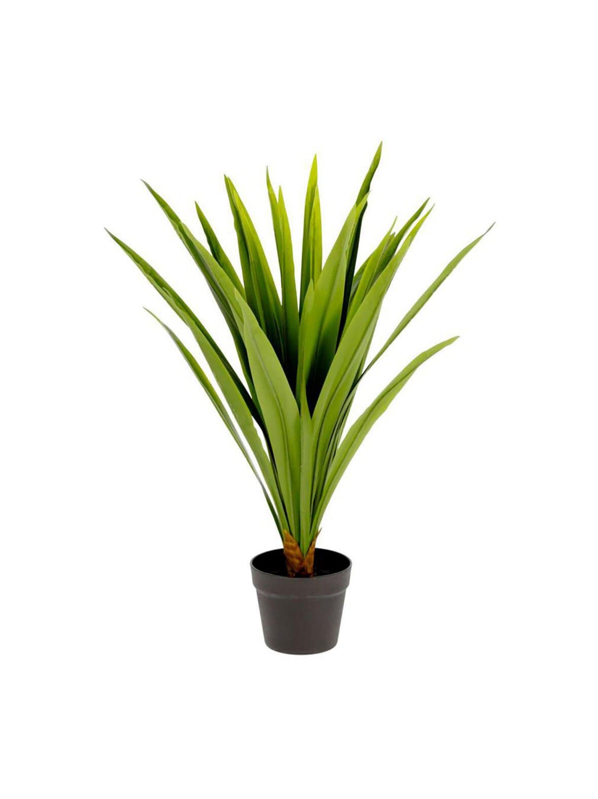 Yucca-tekokasvi k 80 cm – Kave Home