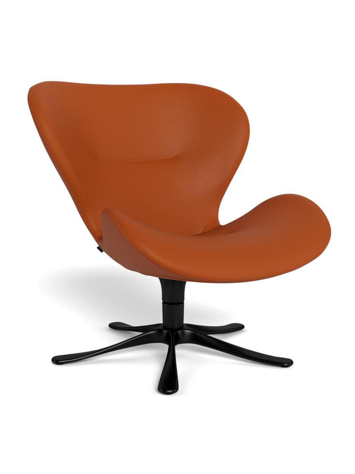 Daisy-nojatuoli dinara-nahka cognac / musta – Conform