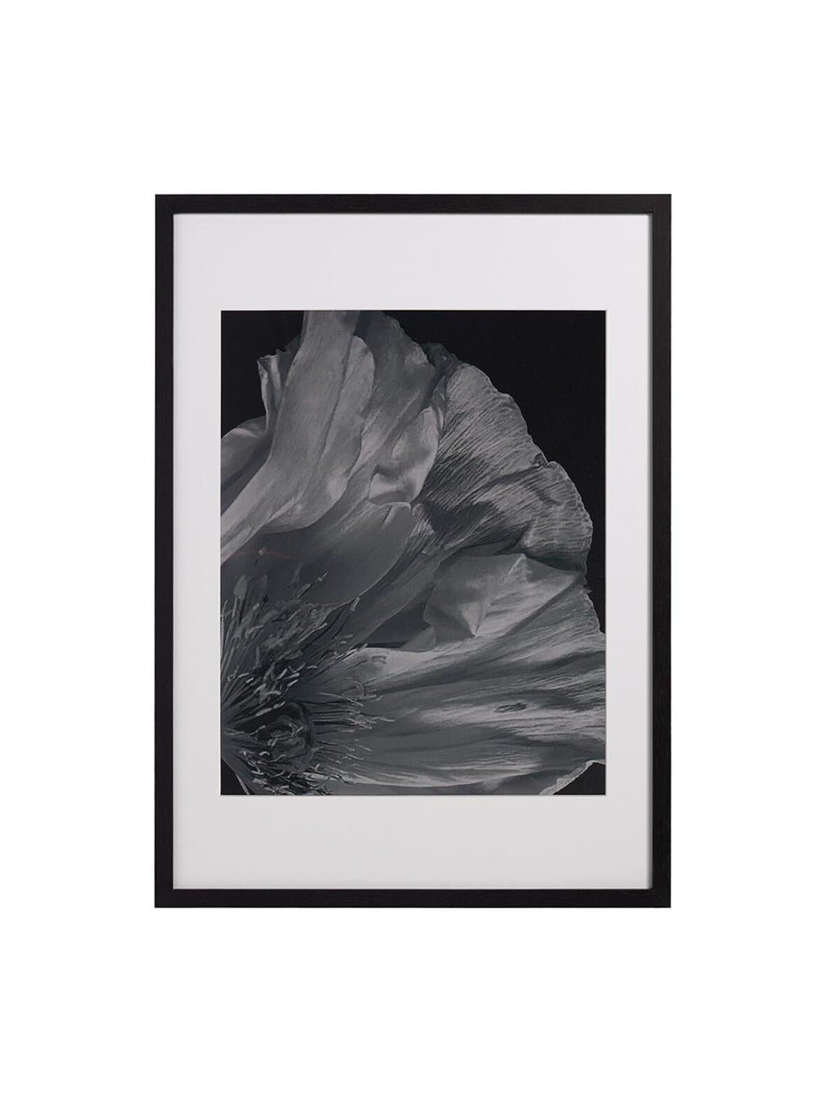 Flora 3 -taulu mustavalkoinen 73 x 53 cm – BoConcept