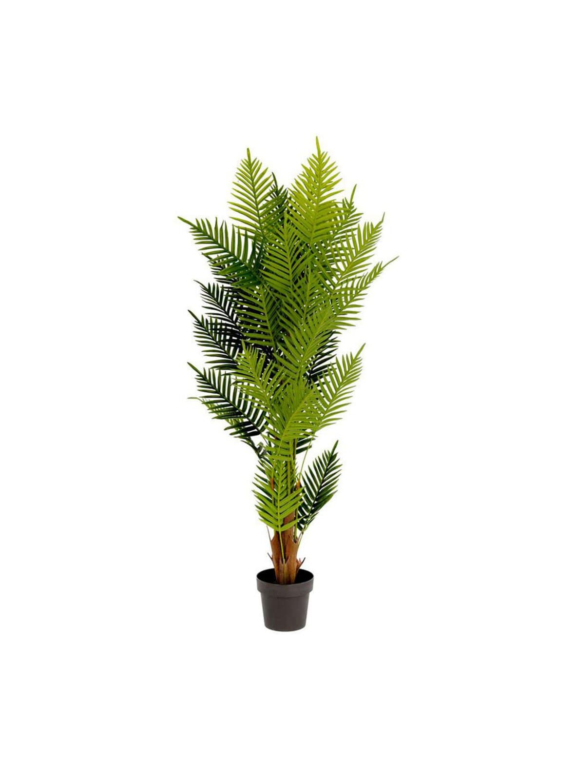 Palmera-tekokasvi k 150 cm – Kave Home