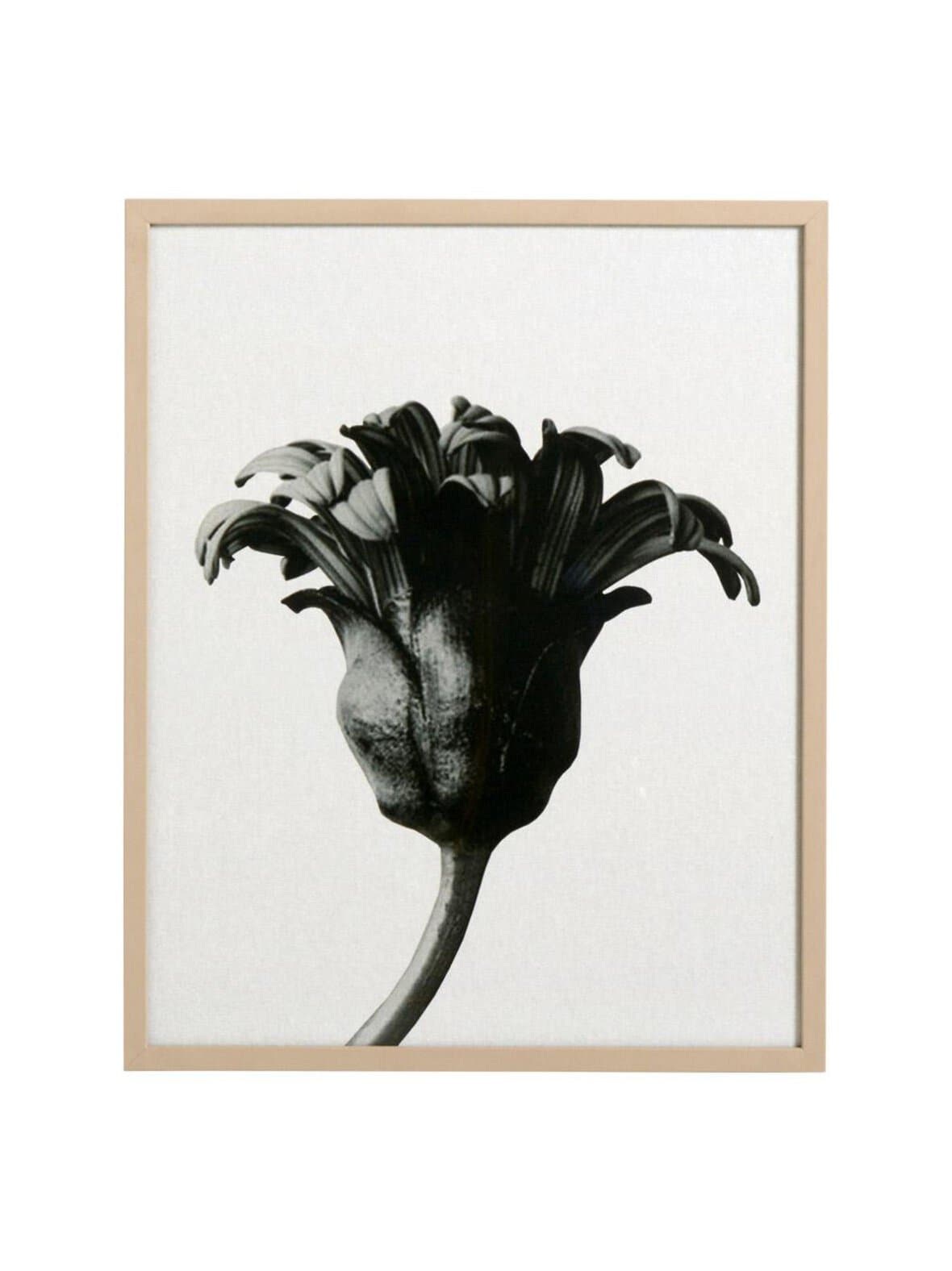 Forms in nature -taulu musta/harmaa 42 x 52 cm – BoConcept