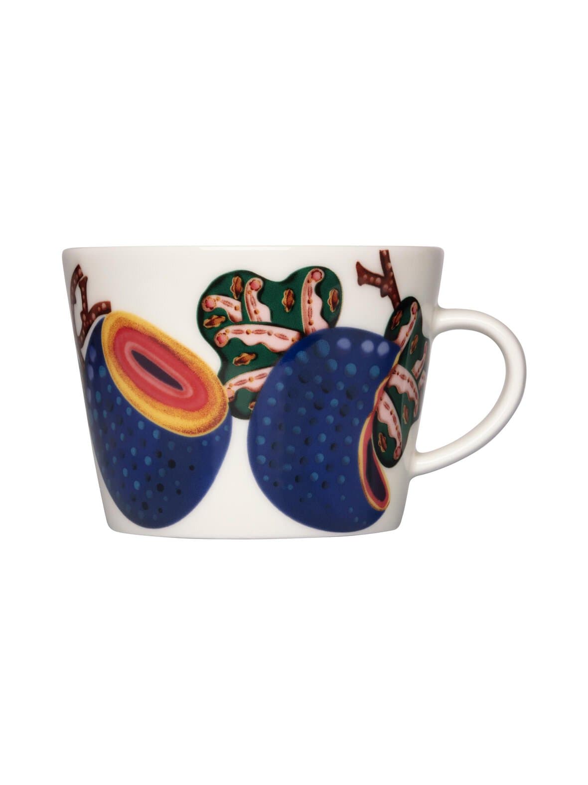 Taika sato -kuppi – Iittala