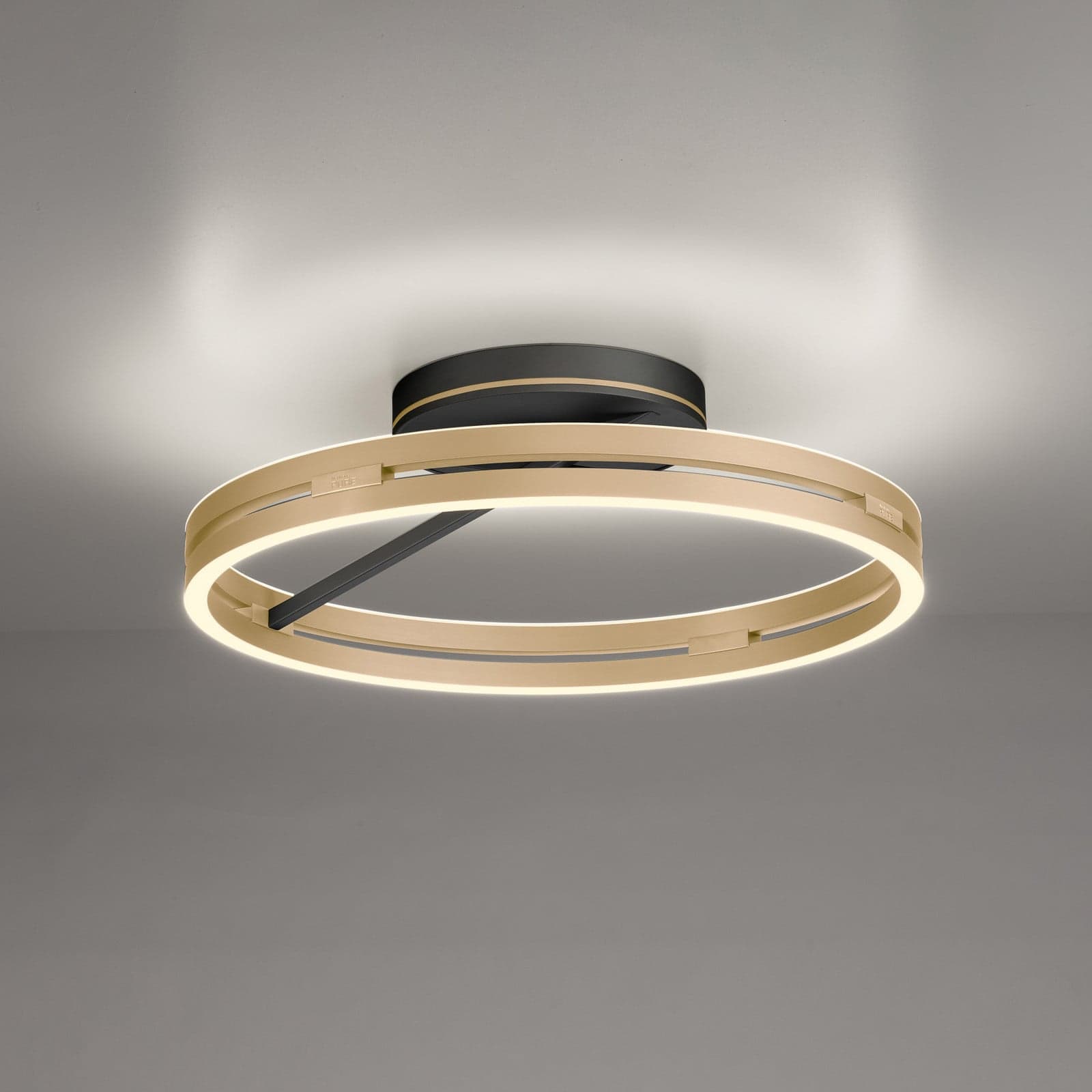 Loop LED-kattovalaisin, musta/norsunluunvärinen kulta, Ø 60 cm, CCT - PURE PURE Loop - Olohuone - Moderni - Alumiini - Yksilamppuinen – Pure