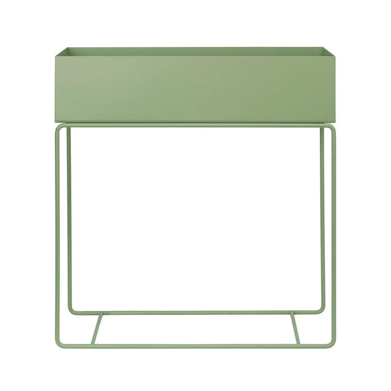 ferm LIVING - Plant Kasviteline Tea Green – ferm LIVING