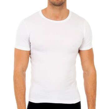 Aluspaidat Abanderado 0806-BLANCO EU XL – Abanderado