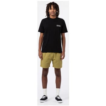 Shortsit & Bermuda-shortsit Dickies Pelican rapids EU S – Dickies