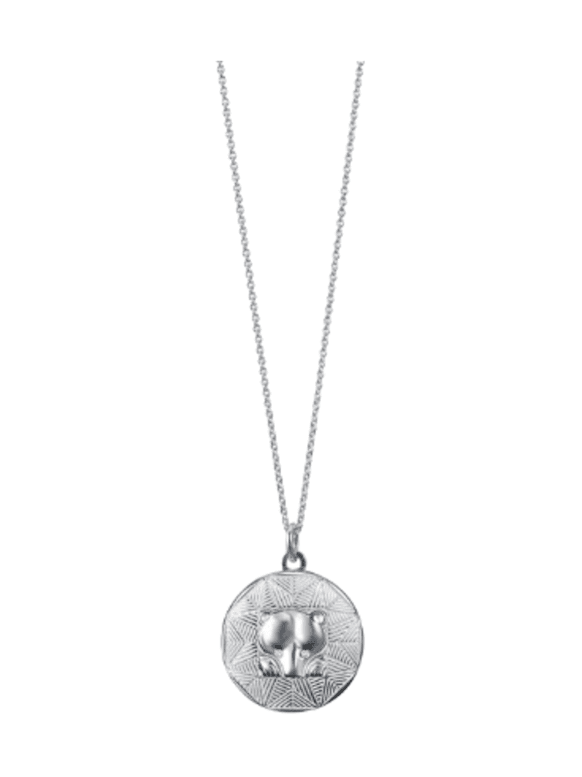 Amuletti riipus pohjankarhu hopea 227031460 – Kalevala