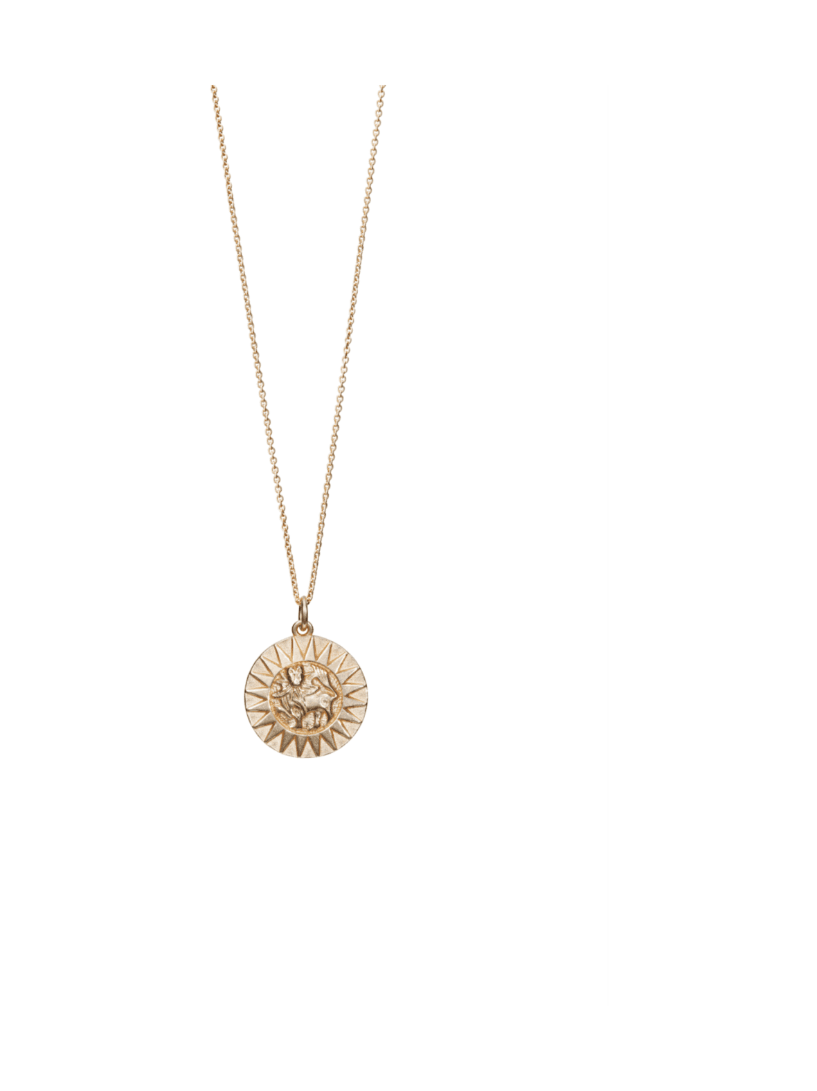 Amuletti riipus aurinkoleijona pronssi 327031360 – Kalevala