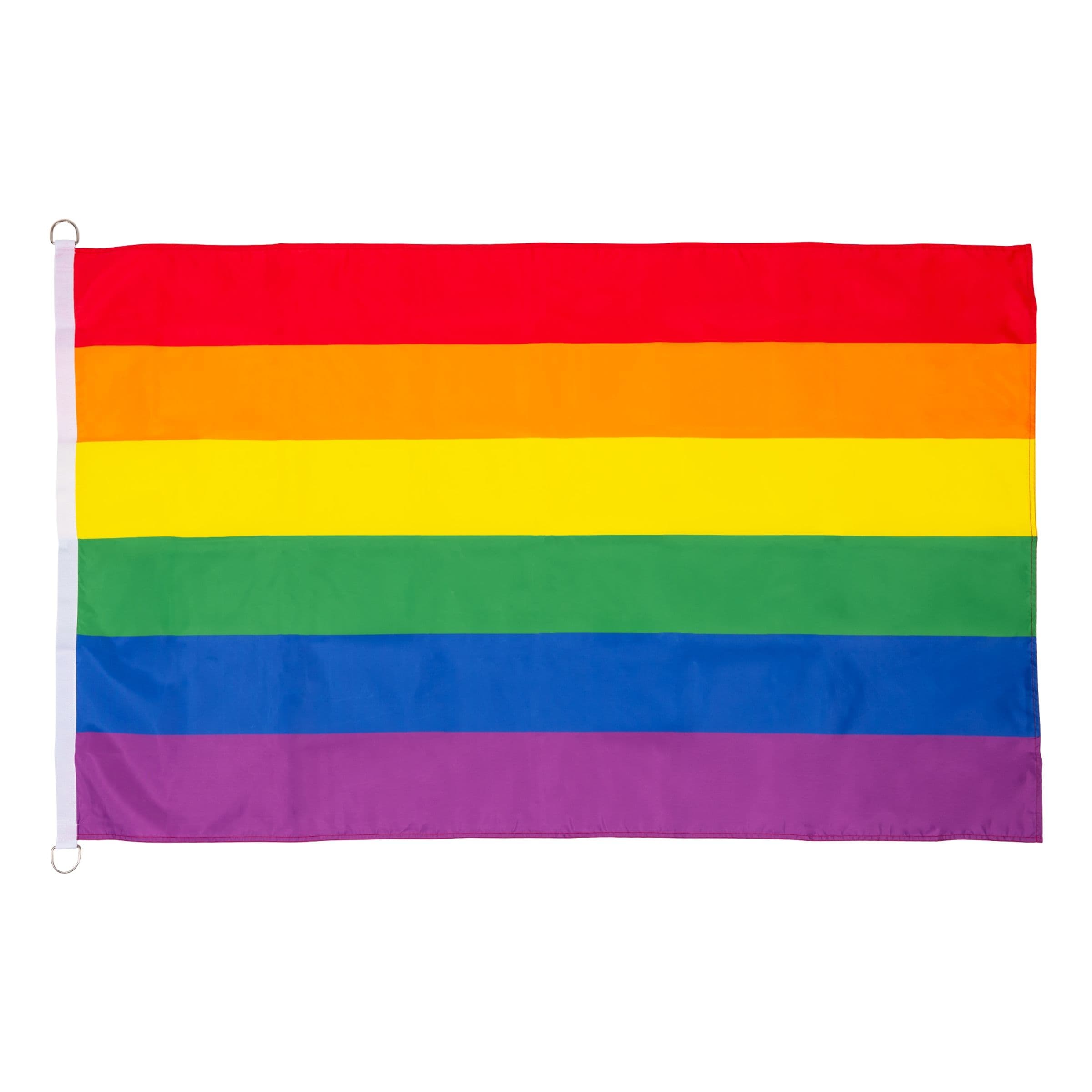 Lippusalkolippu Pride Sateenkaari - 90 x 150 cm – Catsson
