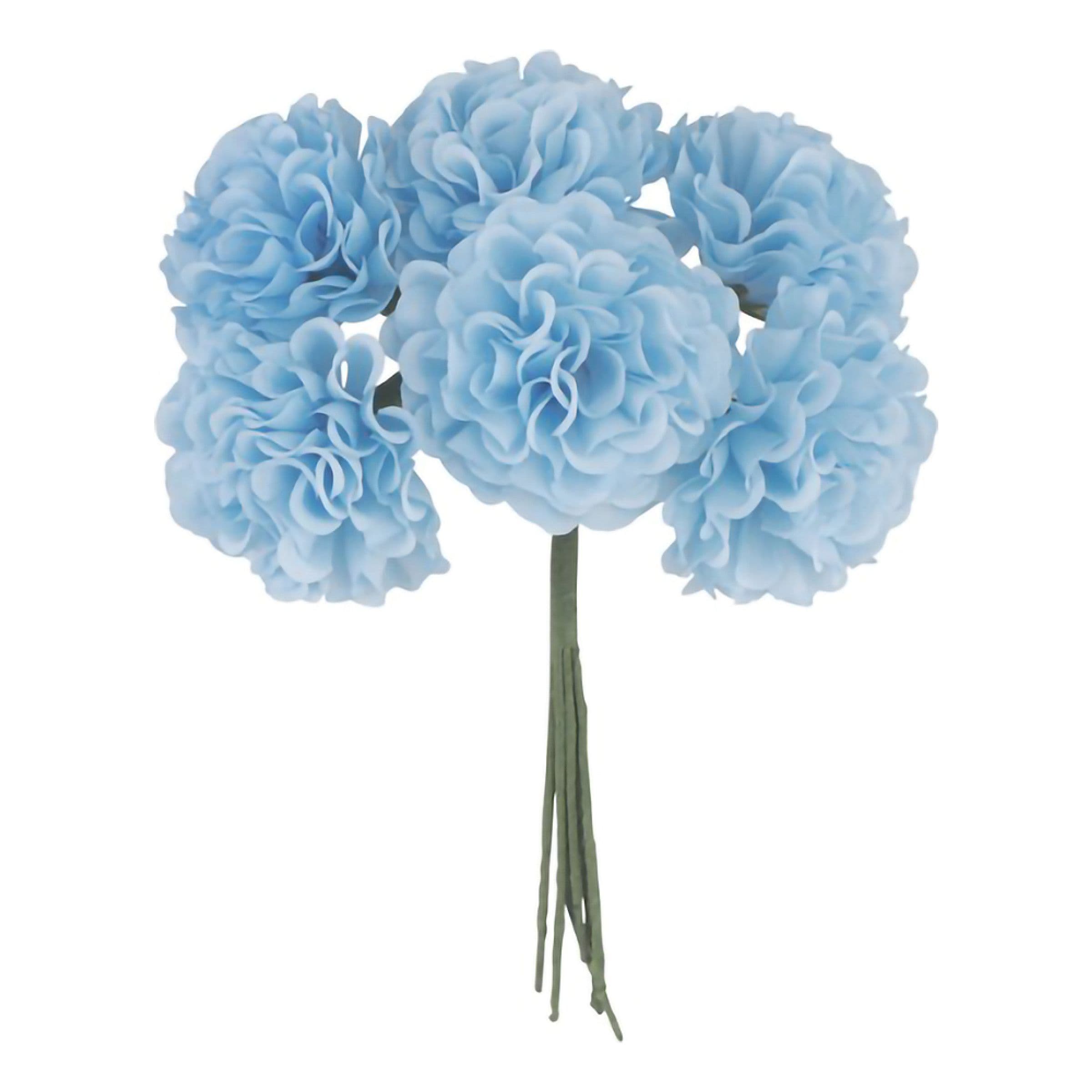 Tekokhortenssikimppu Vaaleansininen – CHAKS