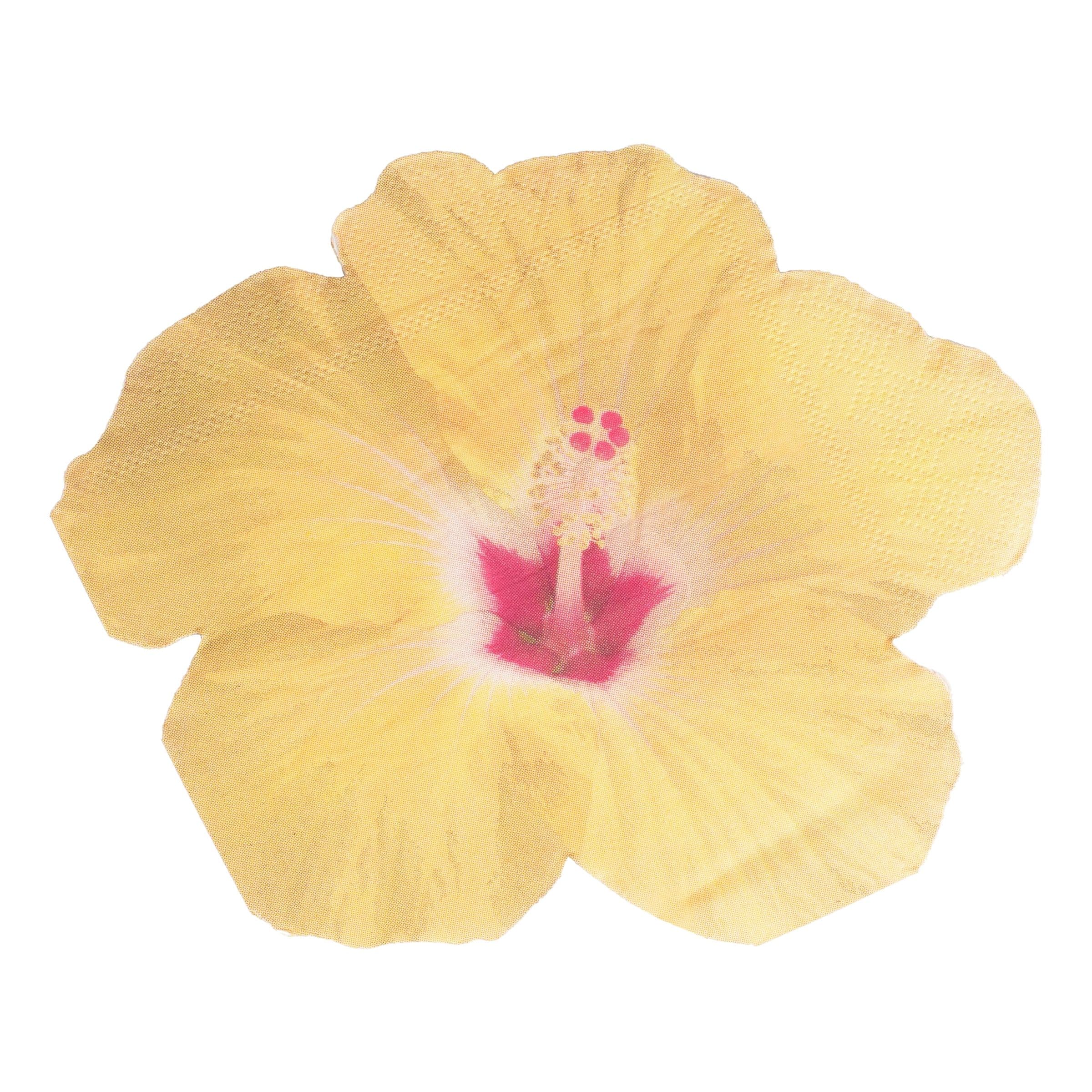 Lautasliinat Havaijikukat Stanssatut - 16-pakkaus – Ginger Ray